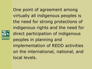 One point of agreement among  virtually all indigenous peoples is  the need for strong protections of  indigenous rights and the need for  direct participation of indigenous  peoples in planning and  implementation of REDD activities  on the international, national, and local levels. 