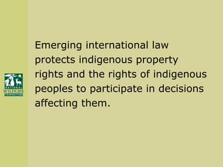Emerging international law  protects indigenous property  rights and the rights of indigenous peoples to participate in decisions  affecting them. 