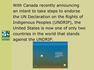 With Canada recently announcing  an intent to take steps to endorse  the UN Declaration on the Rights of  Indigenous Peoples (UNDRIP), the  United States is now one of only two  countries in the world that stands  against the UNDRIP. 