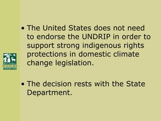 The United States does not need to endorse the UNDRIP in order to support strong indigenous rights protections in domestic climate change legislation. The decision rests with the State Department. 