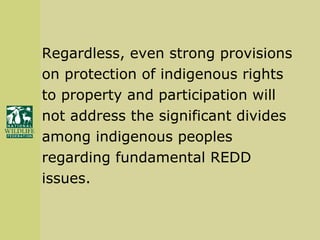 Regardless, even strong provisions  on protection of indigenous rights  to property and participation will  not address the significant divides  among indigenous peoples  regarding fundamental REDD  issues. 