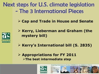 Next steps for U.S. climate legislation  - The 3 International Pieces Cap and Trade in House and Senate Kerry, Lieberman and Graham (the  mystery bill) Kerry’s International bill (S. 2835) Appropriations for FY 2011 The best intermediate step 