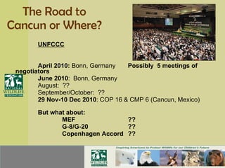 The Road to Cancun or Where? UNFCCC April 2010:  Bonn, Germany Possibly  5 meetings of  negotiators June 2010 :  Bonn, Germany August:  ?? September/October:  ?? 29 Nov-10 Dec 2010 : COP 16 & CMP 6 (Cancun, Mexico) But what about:    MEF  ??   G-8/G-20   ??   Copenhagen Accord  ?? 
