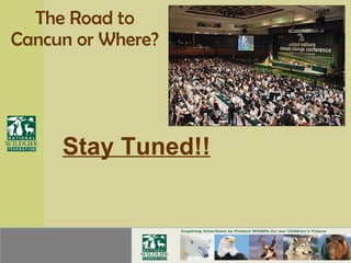 The Road to Cancun or Where? Stay Tuned!! 