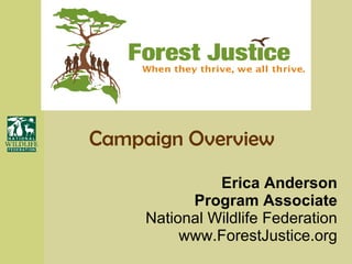 Erica Anderson Program Associate National Wildlife Federation www.ForestJustice.org Campaign Overview 