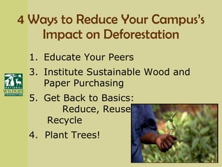 4 Ways to Reduce Your Campus’s Impact on Deforestation Educate Your Peers Institute Sustainable Wood and Paper Purchasing Get Back to Basics:  Reduce, Reuse,    Recycle 4.  Plant Trees! 