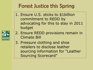 Forest Justice this Spring Ensure U.S. sticks to $1billion commitment to REDD by advocating for this to stay in 2011 budget Ensure REDD provisions remain in Climate Bill Pressure clothing and shoe retailers to disclose leather sourcing information for “Leather Sourcing Scorecard” 