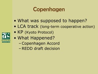 Copenhagen What was supposed to happen? LCA track  (long-term cooperative action) KP  (Kyoto Protocol) What Happened? Copenhagen Accord REDD draft decision 