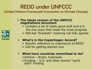 REDD under UNFCCC (United Nations Framework Convention on Climate Change) The latest version of the UNFCCC negotiations document  Contains a lot of really good stuff and it is  the one issue that made the most progress Still has “brackets” meaning not fully agreed What’s in the Copenhagen Accord? Specific reference to importance of REDD  Call for getting started now What have countries committed to do? Actions – Brazil, Indonesia  Funding – U.S. and other donors “quick start” funding 
