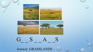 G_ _ S _ _ A _ _S
Answer: GRASSLANDS
 