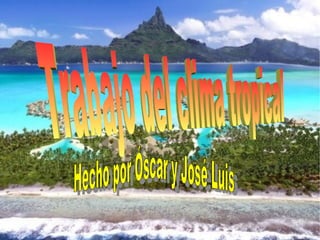 Trabajo del clima tropical  Hecho por Óscar y José Luis  