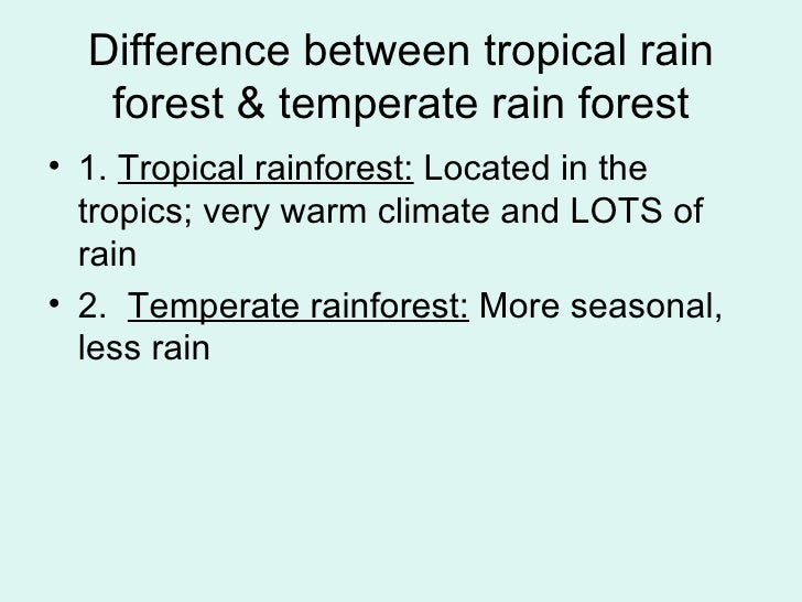 what is the difference between tropical and temperate rainforests what is the difference between tropical and temperate rainforests