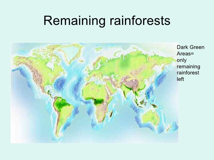 Tropical Rainforest