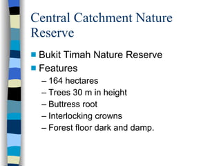 Central Catchment Nature Reserve Bukit Timah Nature Reserve Features 164 hectares Trees 30 m in height Buttress root Interlocking crowns Forest floor dark and damp. 