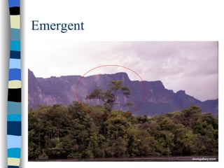Emergent