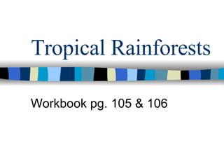 Tropical Rainforests Workbook pg. 105 & 106 