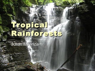 Tropical Rainforests Julian Miranda 