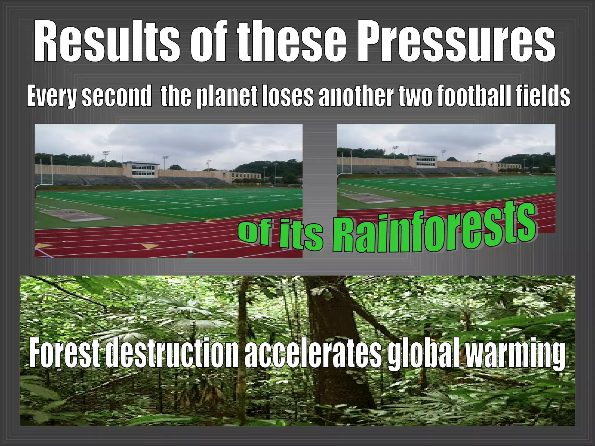 Results of these Pressures Every second  the planet loses another two football fields of its Rainforests Forest destruction accelerates global warming 