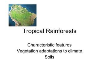 Tropical Rainforests Characteristic features Vegetation adaptations to climate Soils 