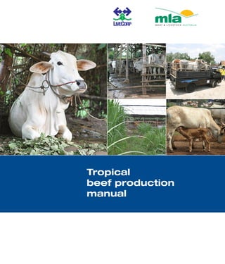 Tropical
beef production
manual
 