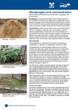 Structured Beef Roughage System Tropical beef production manual (australia) | PDF