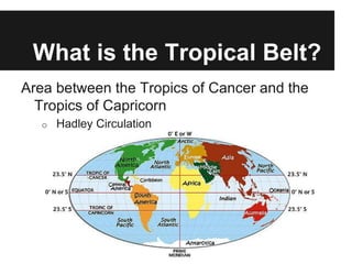 What is the Tropical Belt?
Area between the Tropics of Cancer and the
  Tropics of Capricorn
   o   Hadley Circulation
 