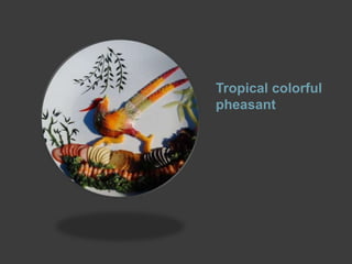 Tropical colorful
pheasant

 