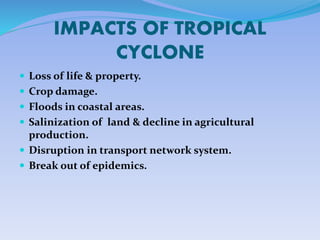 IMPACTS OF TROPICAL
CYCLONE
? Loss of life & property.
? Crop damage.
? Floods in coastal areas.
? Salinization of land & decline in agricultural
production.
? Disruption in transport network system.
? Break out of epidemics.
 