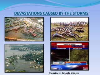 DEVASTATIONS CAUSED BY THE STORMS
Courtsey:- Google images
 