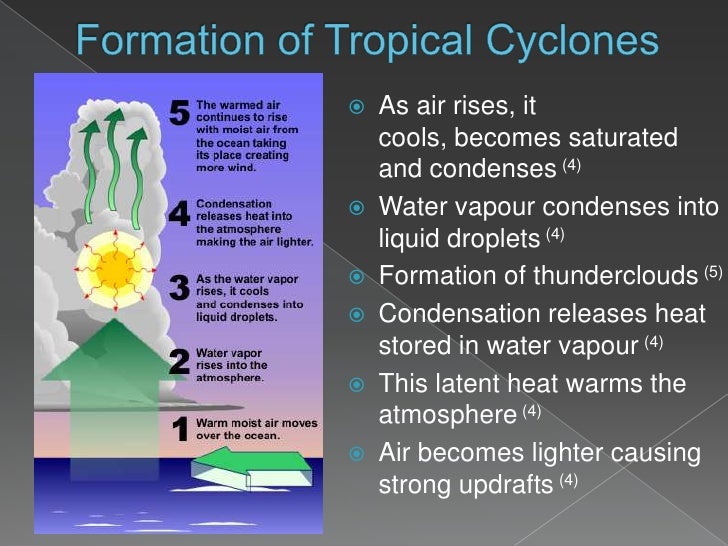 the physical characteristics of tropical cyclones how cyclone form