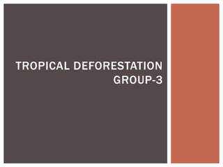 TROPICAL DEFORESTATION
GROUP-3
 