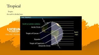 TRopical design quiz.pdf (climate, weather) | PDF