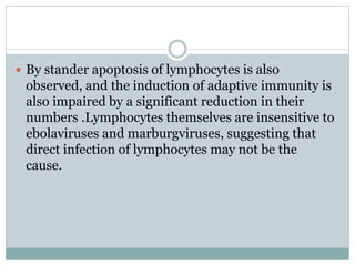  By stander apoptosis of lymphocytes is also
observed, and the induction of adaptive immunity is
also impaired by a signi...
