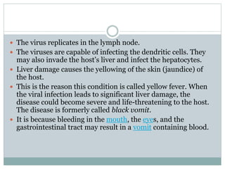  The virus replicates in the lymph node.
 The viruses are capable of infecting the dendritic cells. They
may also invade...