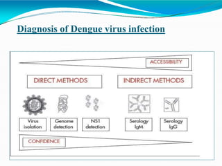 Diagnosis of Dengue virus infection
 
