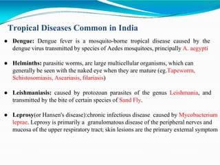 Tropical Diseases Common in India
● Dengue: Dengue fever is a mosquito-borne tropical disease caused by the
dengue virus transmitted by species of Aedes mosquitoes, principally A. aegypti
● Helminths: parasitic worms, are large multicellular organisms, which can
generally be seen with the naked eye when they are mature (eg.Tapeworm,
Schistosomiasis, Ascariasis, filariasis)
● Leishmaniasis: caused by protozoan parasites of the genus Leishmania, and
transmitted by the bite of certain species of Sand Fly.
● Leprosy(or Hansen's disease):chronic infectious disease caused by Mycobacterium
leprae. Leprosy is primarily a granulomatous disease of the peripheral nerves and
mucosa of the upper respiratory tract; skin lesions are the primary external symptom
 