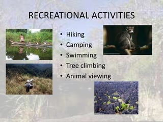 RECREATIONAL ACTIVITIES
      •   Hiking
      •   Camping
      •   Swimming
      •   Tree climbing
      •   Animal viewing
 
