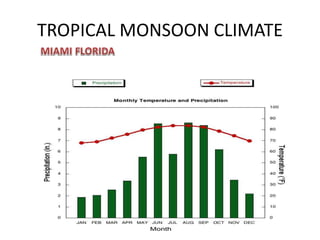 Tropical environments | PPTX