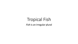 Tropical Fish
Fish is an irregular plural
 