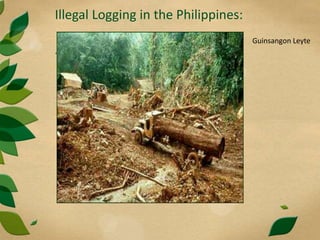 Illegal Logging in the Philippines:
Guinsangon Leyte
 
