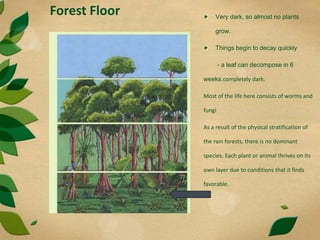 Forest Floor Very dark, so almost no plants
grow.
Things begin to decay quickly
- a leaf can decompose in 6
weeks.completely dark.
Most of the life here consists of worms and
fungi
As a result of the physical stratification of
the rain forests, there is no dominant
species. Each plant or animal thrives on its
own layer due to conditions that it finds
favorable.
 