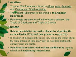 Location
• Tropical Rainforests are found in Africa, Asia ,Australia,
and Central and South America.
• The largest Rainforest in the world is the Amazon
Rainforest.
• Rainforests are also found in the tropics between the
Tropic of Capricorn and Tropic of Cancer.
Climate
• Rainforests stabilize the earth’s climate by absorbing the
carbon dioxide (CO2) and then produces oxygen (O2).
• In this part of the region the sun is very strong and shines about
the same amount of time every day, all year long making the
climate warm and stable.
• Rainforests also affect local weather conditions by creating
rainfall and moderating temperatures.
 