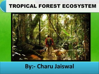TROPICAL FOREST ECOSYSTEM 
By:- Charu Jaiswal 
 