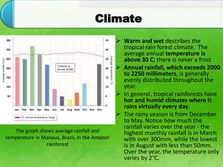 Tropical Rainforest Climate Graph