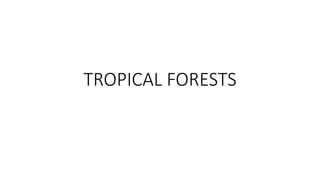 TROPICAL FORESTS
 