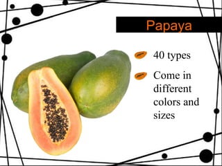 Papaya 40 types Come in different colors and sizes 