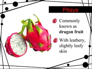 Pitaya Commonly known as  dragon fruit With leathery, slightly leafy skin  