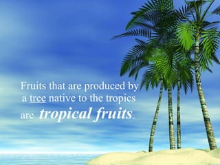 Fruits that are produced by    a  tree  native to the tropics     are  tropical fruits . 