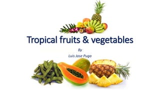 Tropical fruits & vegetables
By
Luis Jose Puga
 