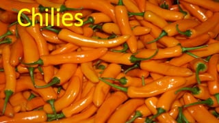 Chilies
 